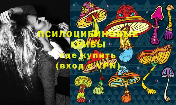 a pvp Богородицк