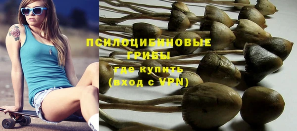 a pvp Богородицк