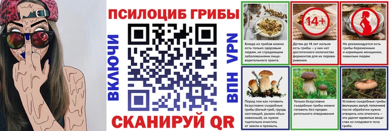 кракен зеркало где можно купить наркотик Мурино Псилоцибиновые грибы GOLDEN TEACHER