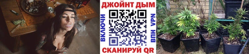 Марихуана MAZAR  omg ТОР  Мурино  даркнет сайт 